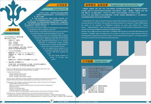 企業畫冊設計 版式與封面的視覺策略